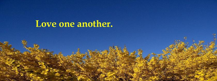 love one another